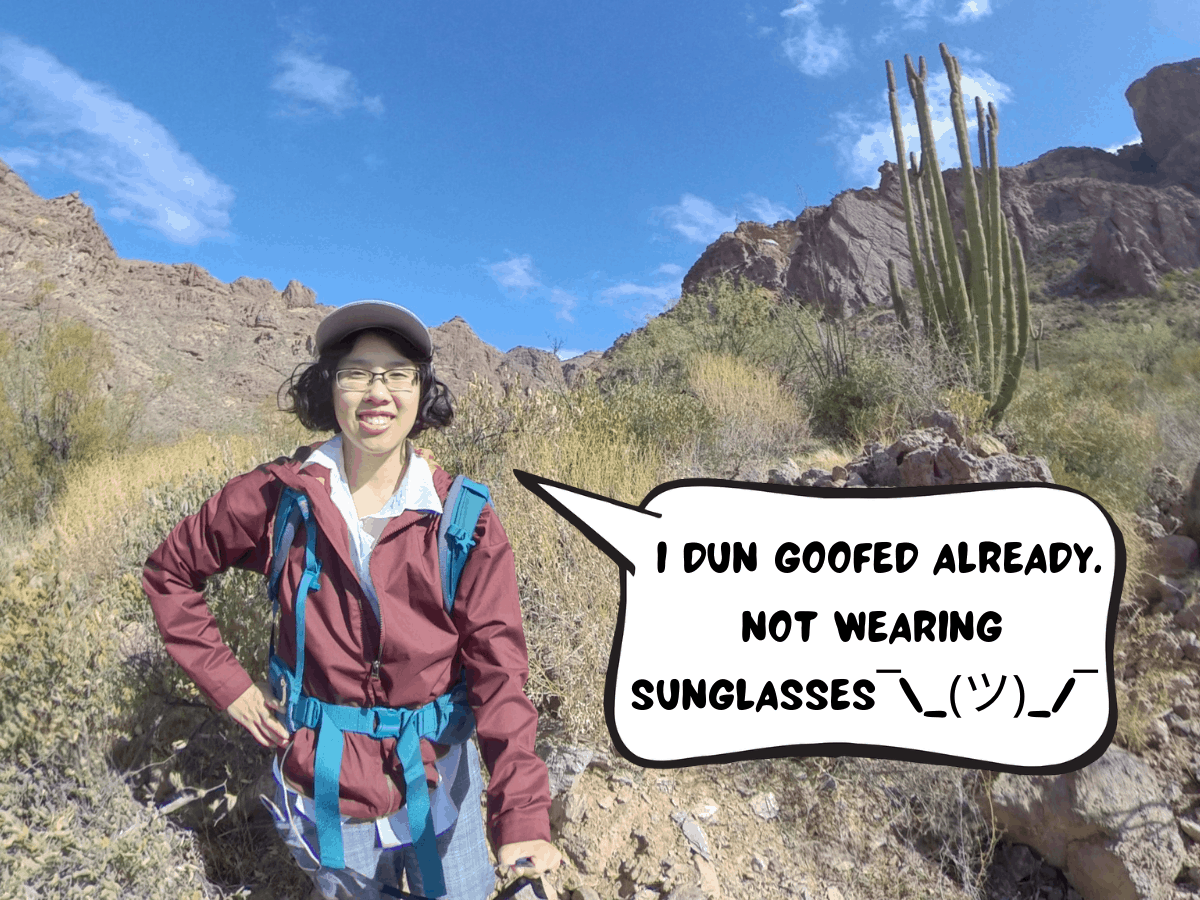 Meggie is hiking in the desert of Organ Pipe Cactus National Monument, Arizona, United States. Behind her are mountains of bare brown rock. Down below is the brown desert with lots of green scrawny bushes and a large Organ Pipe Cactus. Above is a blue sky with a few tiny clouds. Meggie, in a comic text bubble, says " i dun goofed already. not wearing sunglasses¯\_(ツ)_/¯ "