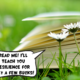 A book with white pages is lying in a grassy field with white flowers. The book is saying a comic text bubble, "read me! i'll teach you resilience for only a few bucks!"