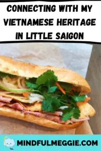 I'm Asian but felt foreign while food shopping in Orange County's Little Saigon, but did my best to connect to my Vietnamese heritage. #littlesaigon #littlesaigonorangecounty #orangecounty #oc #vietnam #vietnamesefood #vietnameseamerican #heritage #culturalheritage #banhmi #banhmithit #banhthieu