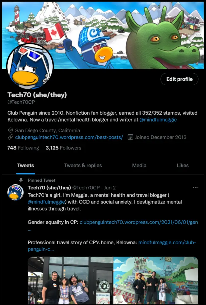 A screenshot of my Twitter profile @Tech70CP.