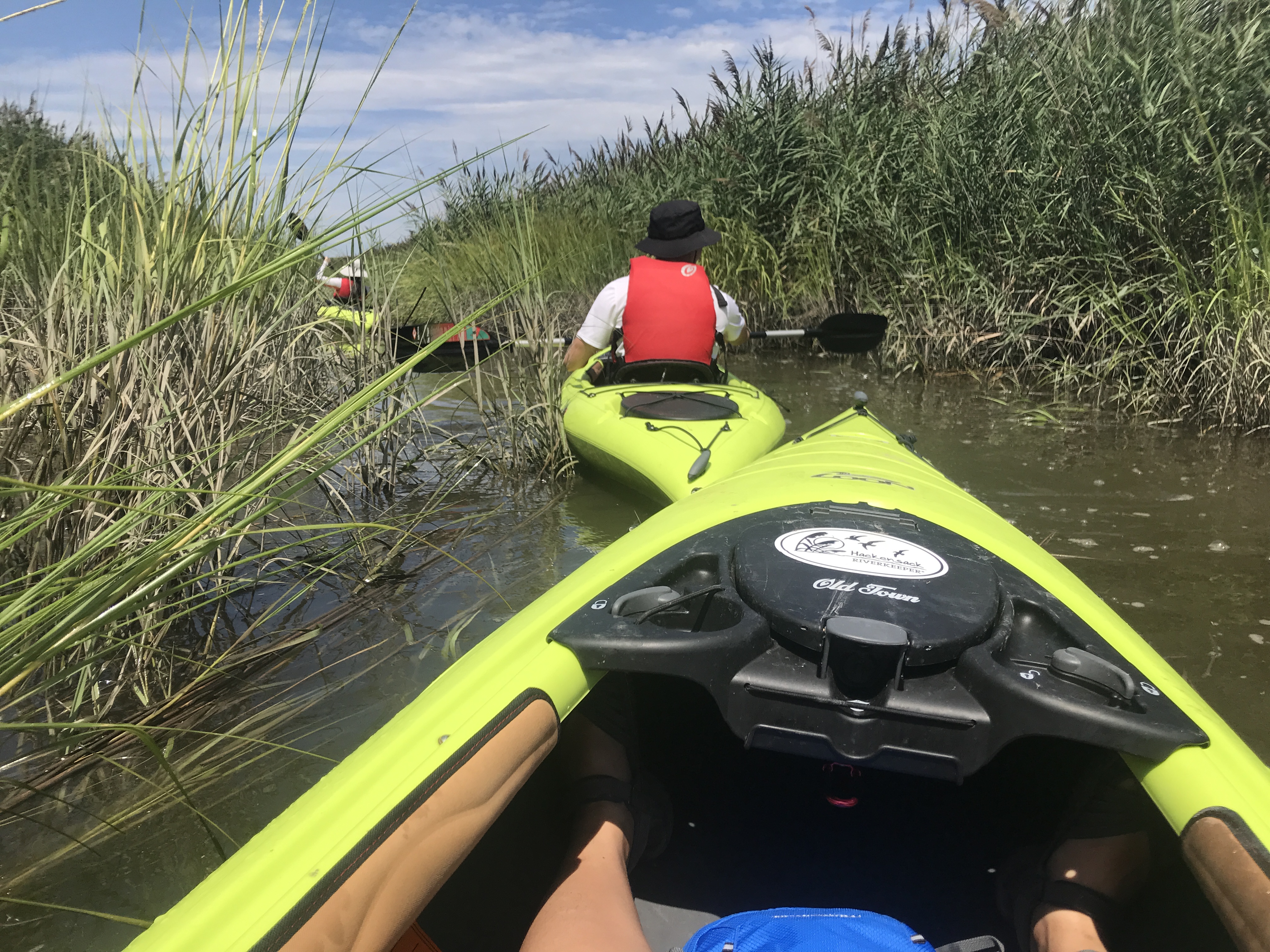 Green kayaks on brownish water make their way through tall wetland grasses. Partly sunny sky with some flat clouds. Hackensack River, Secaucus, New Jersey, United States