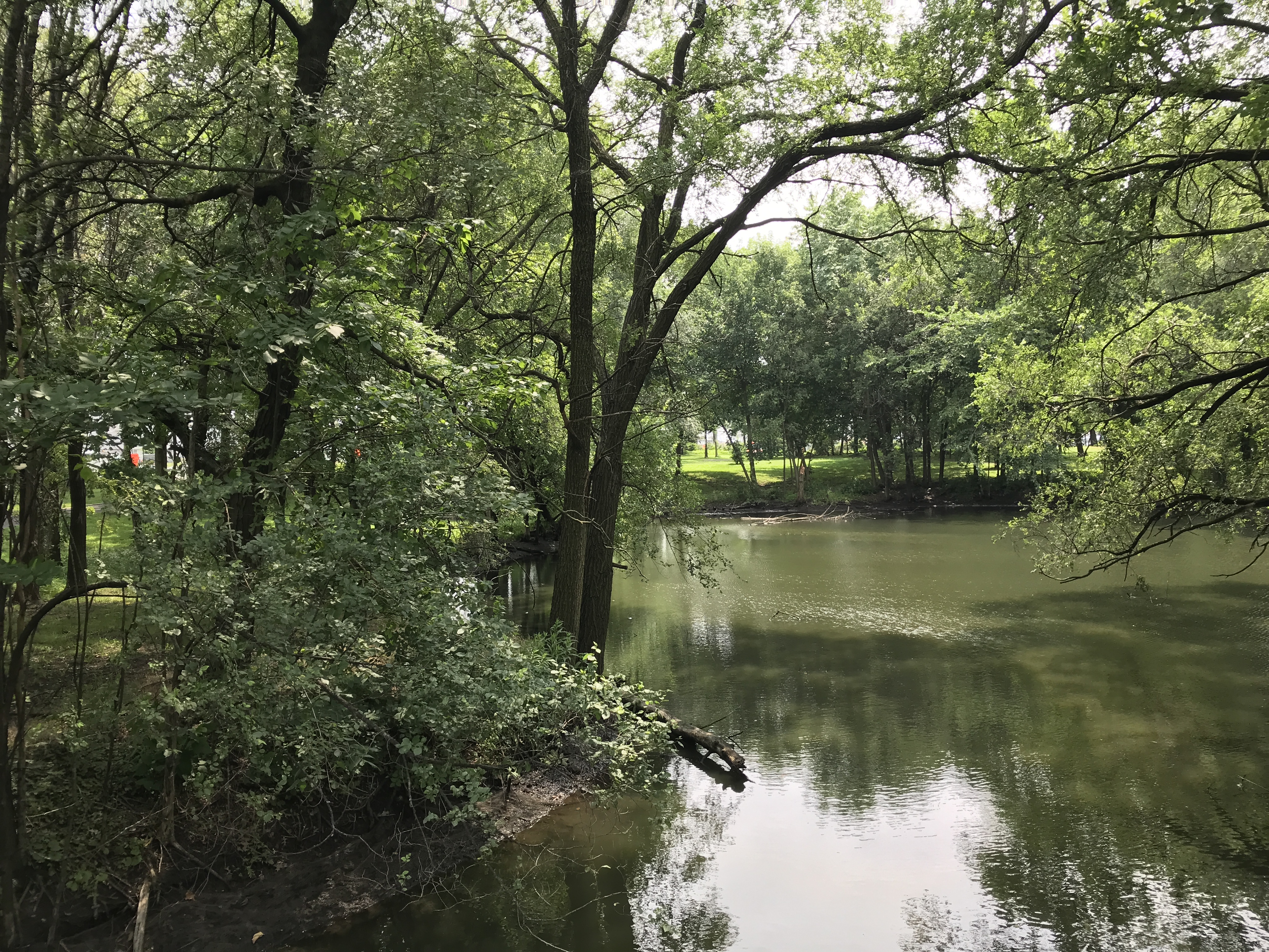 Green trees reflecting on a dark green pond in Lincoln Park, Jersey City, New Jersey, United States