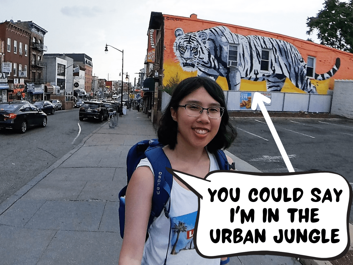 Visit Jersey City: Best of Jersey City Tourism