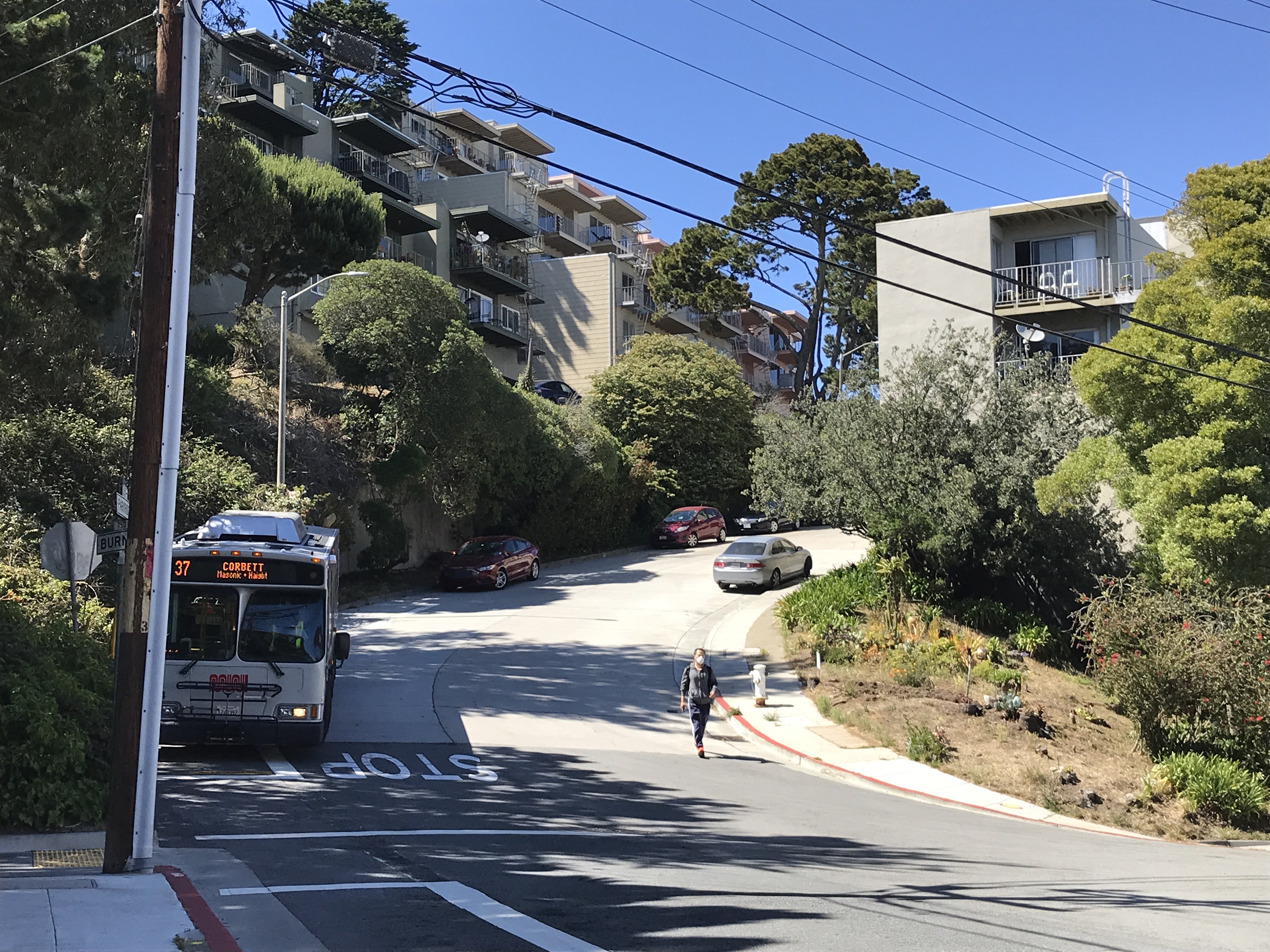 Looking up a curvy street with apartments. A MUNI bus is parked on the side. A clear blue sky. This residential street is running on the side of Twin Peaks. Twin Peaks, San Francisco, California, United States of America.