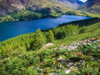 The Lake District where Wordsworth lived! The Lake District in England, United Kingdom. Green grass and trees surround a bright blue lake in a valley. Photo credit: peterkrothe on Pixabay.