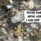 A yellow and black frog is resting on some rocks and mud in Lake District National Park, England, United Kingdom. In a comic text speech bubble, the frog is saying, "Peter Rabbit move aside. I can hop too."