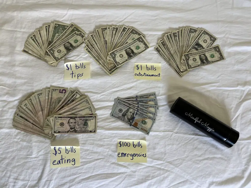 $1 and $5 US dollar bills laid out and spread with labels for tips, entertainment, eating, and emergencies. Meggie's Mindful Meggie water bottle is resting next to the cash.